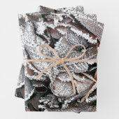 WINTERBLADEREN INPAKPAPIER VEL (In situ)