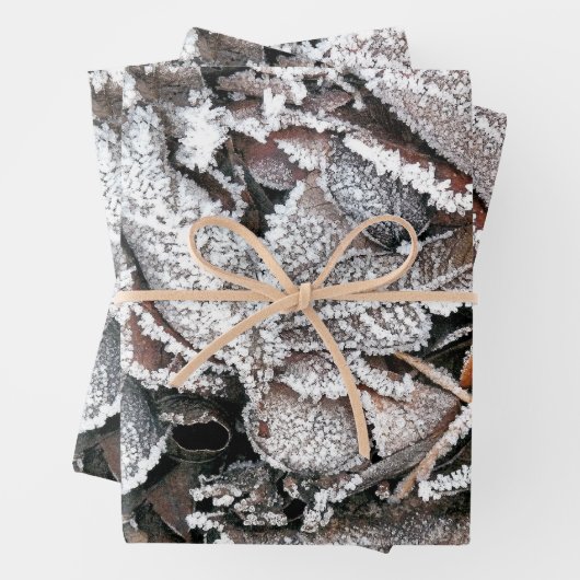 WINTERBLADEREN INPAKPAPIER VEL (In situ)