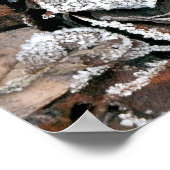 WINTERBLADEREN POSTER (Hoek)