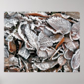 WINTERBLADEREN POSTER (Voorkant)