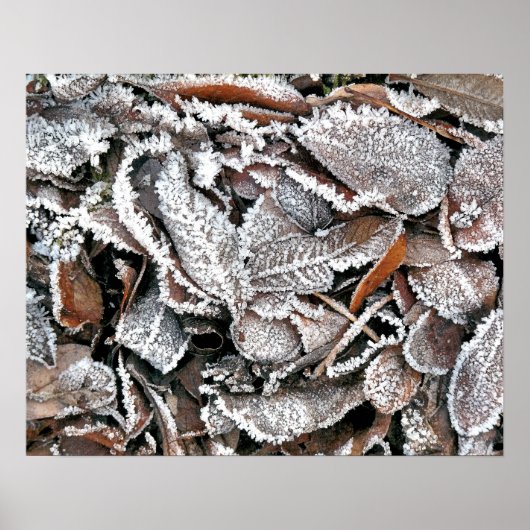 WINTERBLADEREN POSTER (Voorkant)