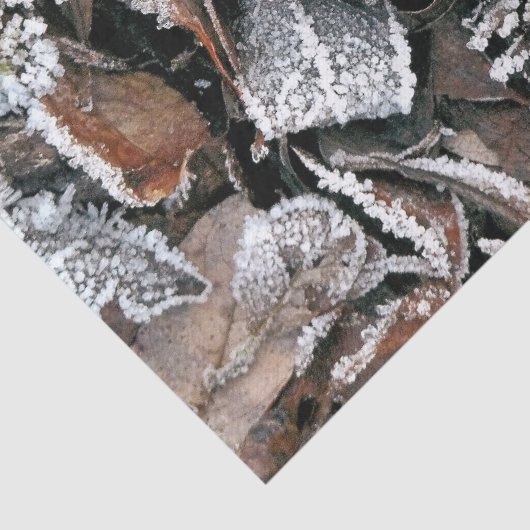 WINTERBLADEREN TISSUEPAPIER (Detail)