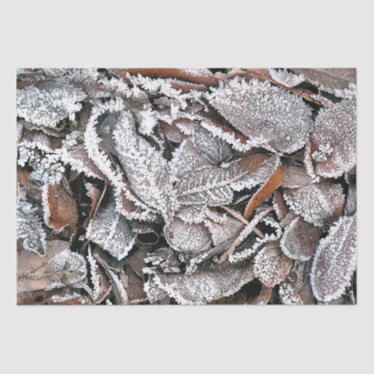 WINTERBLADEREN TISSUEPAPIER (Voorkant)