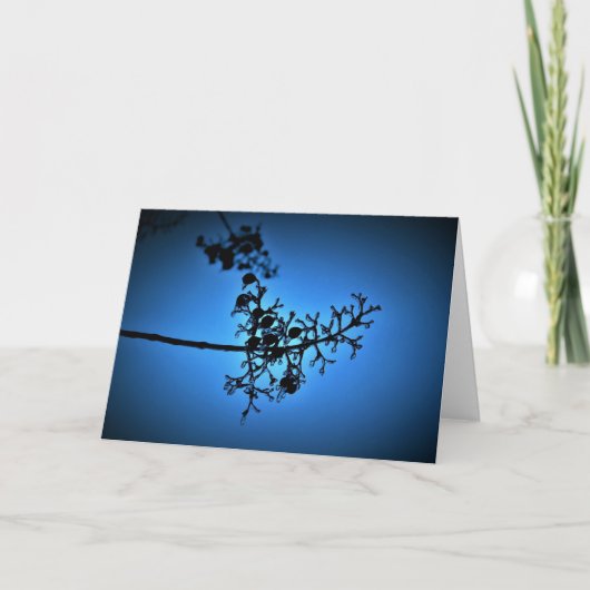 Winterblauw, kaart (Voorkant)