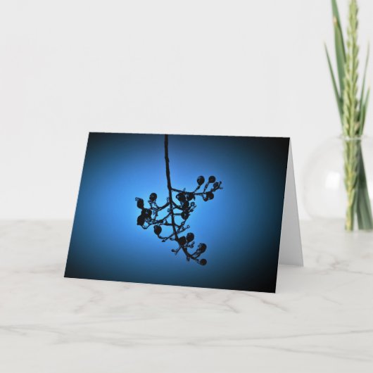 Winterblauw, kaart (Voorkant)