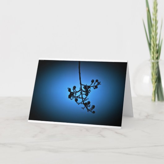 Winterblauw, kaart (Voorkant)