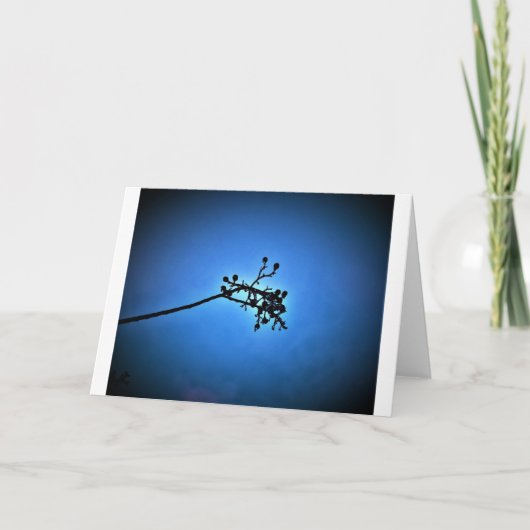 Winterblauw, kaart (Voorkant)