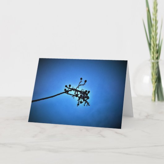 Winterblauw, kaart (Voorkant)