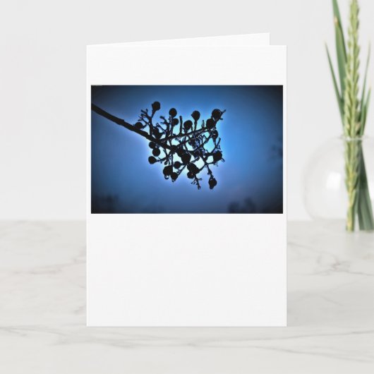 Winterblauw, kaart (Voorkant)