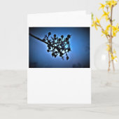 Winterblauw, kaart (Gele Bloem)