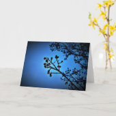 Winterblauw, kaart (Gele Bloem)