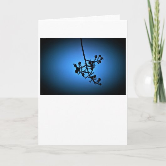 Winterblauw, kaart (Voorkant)