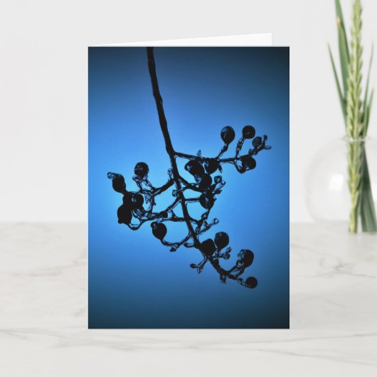 Winterblauw, kaart (Voorkant)