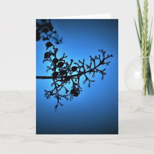 Winterblauw, kaart (Voorkant)