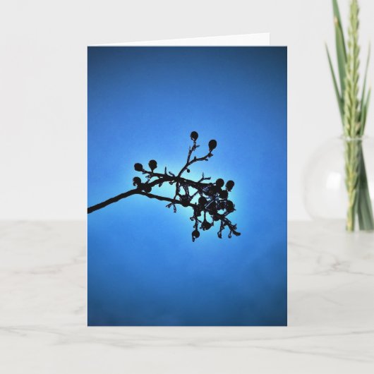 Winterblauw, kaart (Voorkant)