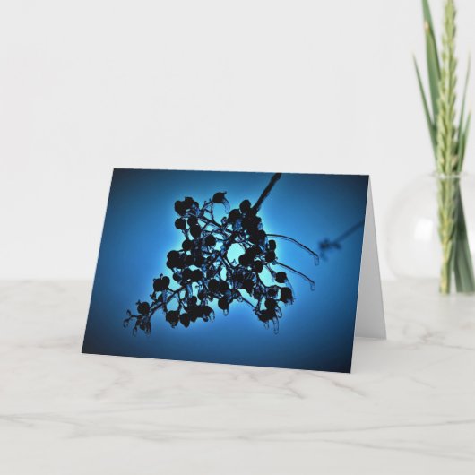 Winterblauw, kaart (Voorkant)