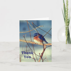 Winterblauw Natuur Hartelijk dank Bedankkaart