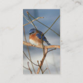 Winterblauw Natuur Visitekaartje (Achterkant)