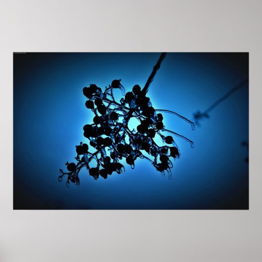 Winterblauw, Poster (Voorkant)