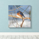 Winterblauw-vogel-Natuur Canvas Afdruk (Insitu (Houten vloer))