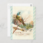 winterblauwe vogel briefkaart (Voorkant / Achterkant)