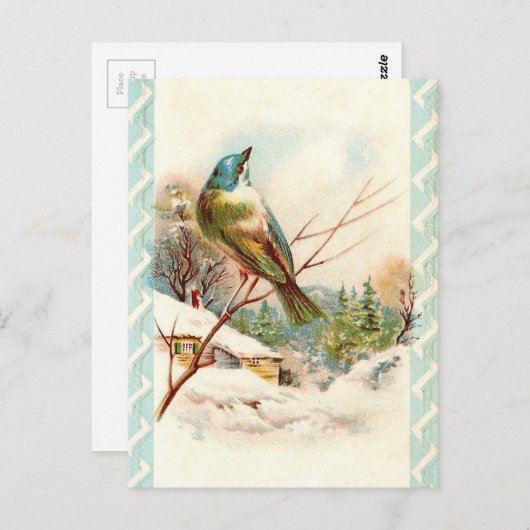  winterblauwe vogel briefkaart (Voorkant / Achterkant)