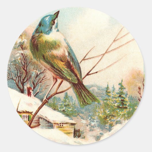  winterblauwe vogel ronde sticker (Voorkant)