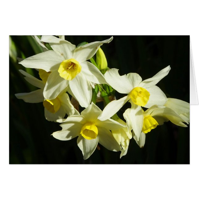 Winterbloemen (Voorkant Horizontaal)