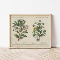 Winterbloemen | Charlotte Mary Yonge