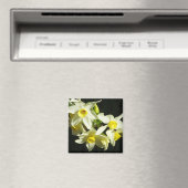 Winterbloemen Magneet (Insitu (Vaatwasser))