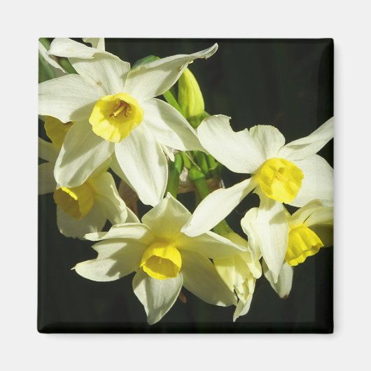 Winterbloemen Magneet (Voorkant)