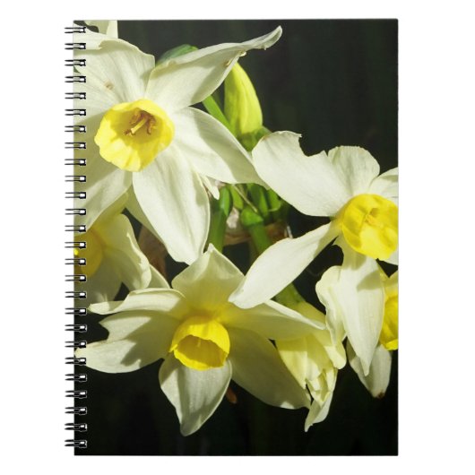 Winterbloemen Notitieboek (Voorkant)