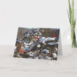 "Winterbloesems" kerstkaart Kaart