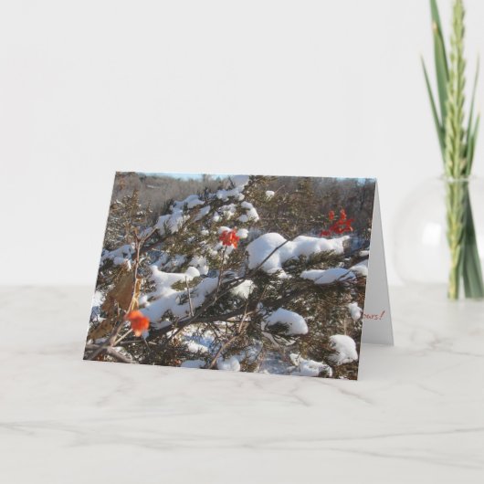 "Winterbloesems" kerstkaart Kaart (Voorkant)