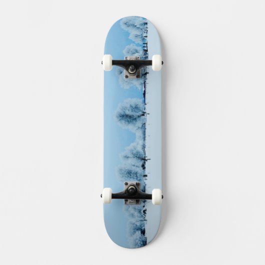 WinterBoerderij Skateboard (Voorkant)