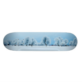 WinterBoerderij Skateboard