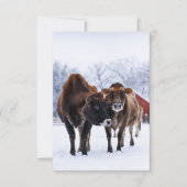 Winterboerderij twee bruine koe in de sneeuwgroet kaart (Voorkant)