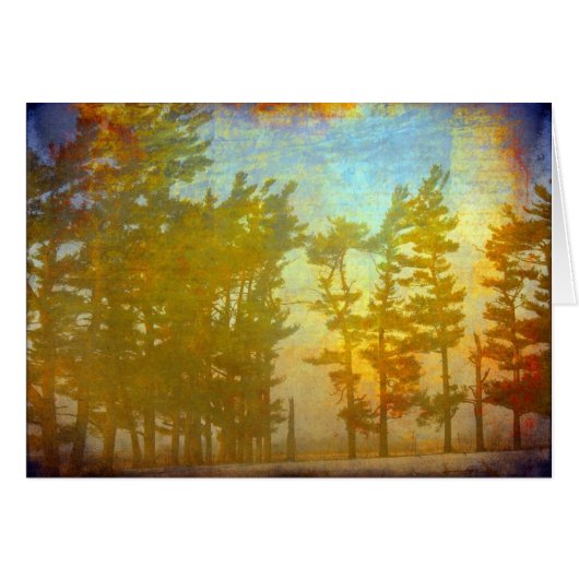 Winterbomen (Voorkant Horizontaal)