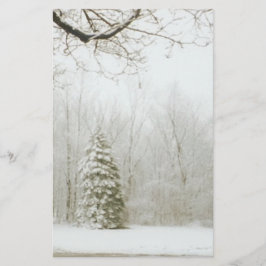 Winterbomen