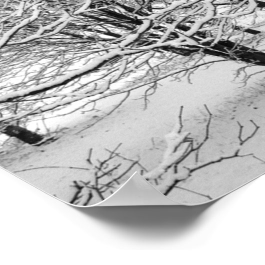 Winterbomen 16x11 poster (Hoek)