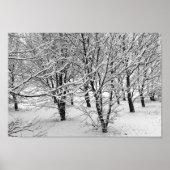 Winterbomen 16x11 poster (Voorkant)