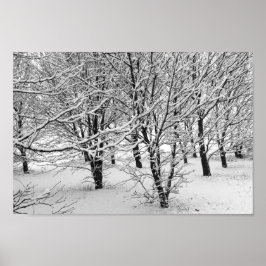 Winterbomen 16x11 poster