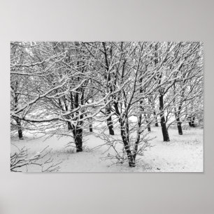 Winterbomen 16x11 poster