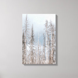 Winterbomen aan de lichtblauwe hemel canvas afdruk
