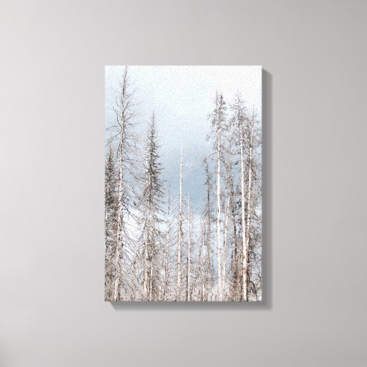 Winterbomen aan de lichtblauwe hemel canvas afdruk (Voorkant)
