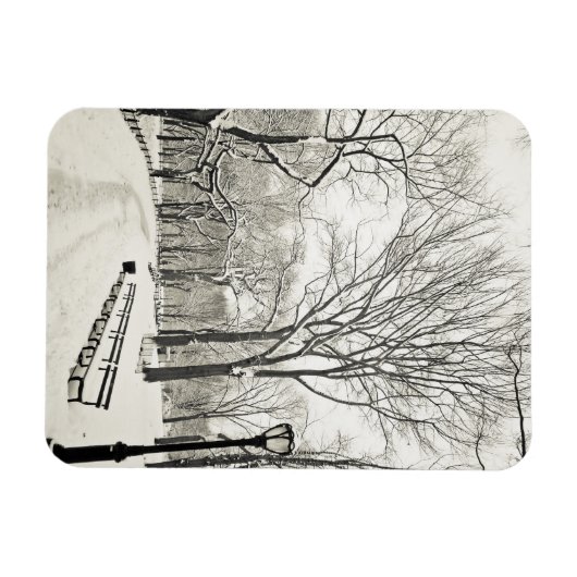 Winterbomen bedekt met sneeuw magneet (Horizontaal)