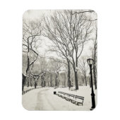 Winterbomen bedekt met sneeuw magneet (Verticaal)