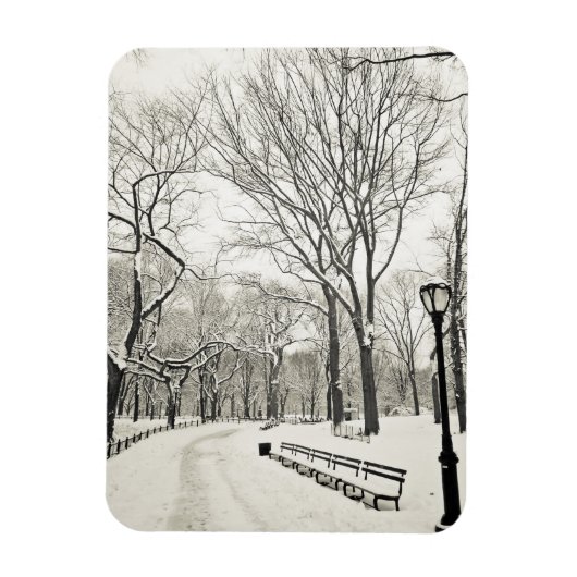 Winterbomen bedekt met sneeuw magneet (Verticaal)