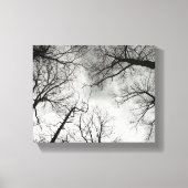 Winterbomen bewolkte lucht canvas afdruk (Voorkant)