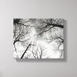 Winterbomen bewolkte lucht canvas afdruk